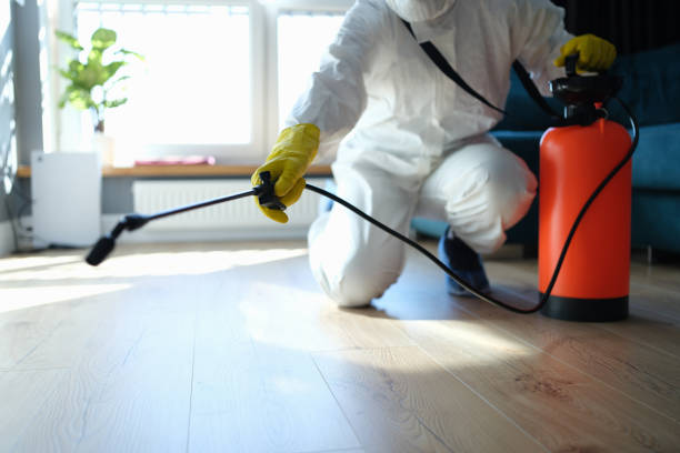 Reliable Unattended Death Cleanup contractor in Big Bear City, CA by Trauma Clean Pros